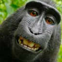 monke