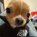 https://cdn.discordapp.com/avatars/1162780340281151640/3b4ec3f07b435c65046c00fc47e2e085.jpg?size=128