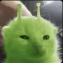 Glorp 👽