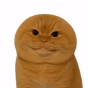 yourmom_64716 avatar