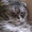 Аватар 974564.