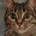 avatar Evolution.ai.noram?hahaha