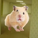 peep_op1