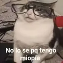 marckx avatar