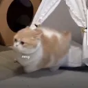 Аватар djany28_31234