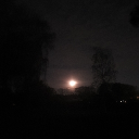 avatar apprentice wood