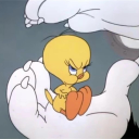 avatar 𝓐𝓷𝓸𝓼𝓱 ؞¡