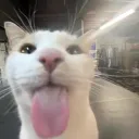 zen_yt14