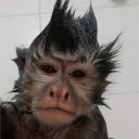 yashekvn