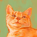 Casey