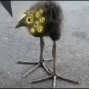 Аватар geypidophol_26994