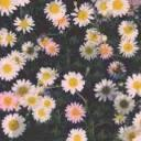 8d7b25ea6d989bcd_49255