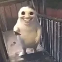 2392033