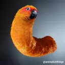 atryzi