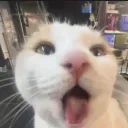 adsnotfine