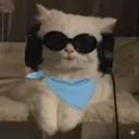 glavonja_v2