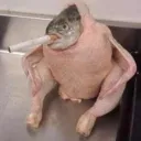 tinpotguy420