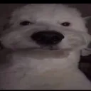 mlvdloko.p
