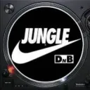 junglist11