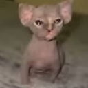 avatar The monster under ur bed