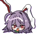 oshima_cherry
