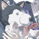spojoy