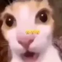 chungtacuasaunay0_0