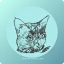 cat_1000