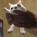 digaaaaaaaaaaaa