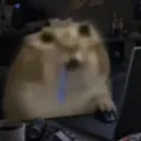 kozybobz