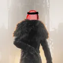 sheikhofgames