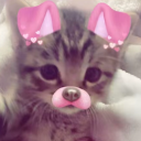 avatar 𝐁𝐄𝐑𝐋𝐈𝐍𝐎