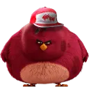 elko_ssb
