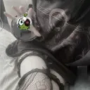 Аватар zxc_kroluk