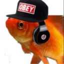 a_human_goldfish avatar