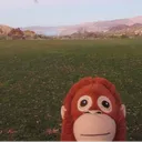 finn_1666
