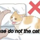 plzdonotthecat