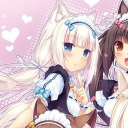 avatar @crazyygf is new acc for now