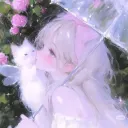 misty_0_0