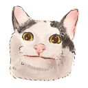 classdchocolatechipcookies_28968