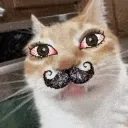 rikikamboja avatar