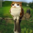 martinxdub.'s Avatar