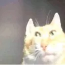 jzzcpcod_god. avatar