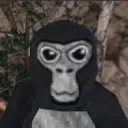 gjhk2343