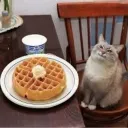 therealwaffle_