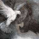 avatar 𝓝𝓪𝓽𝓪𝓵𝓲𝓮🤍