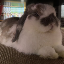 avatar 𖥻 ׁ ׅ amaruuu ! ׁ ׅ ☁️