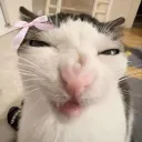 elite_kami