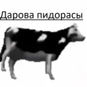 Аватар haunt18_