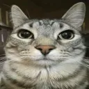 rtx_noobxbox